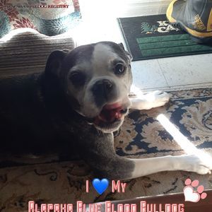 Meet your Posher, Jen